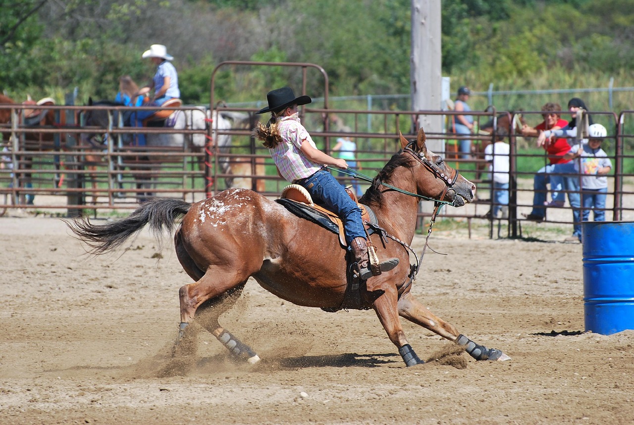 What Is Barrel Race? Barrel Racing Rules