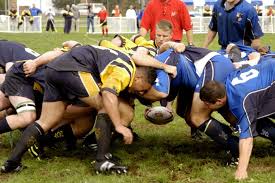 rugby workout plan