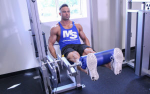 leg extensions
