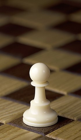 the pawn chess piece for chess beginners 