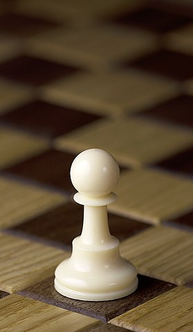 the pawn chess piece for chess beginners