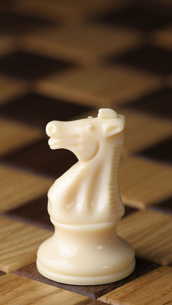 the knight chess piece for chess beginners 