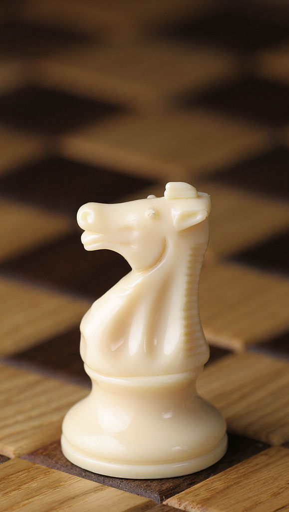the knight chess piece for chess beginners
