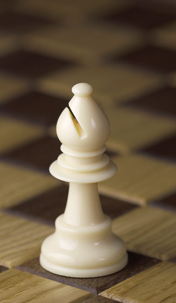 the bishop chess piece for chess beginners 