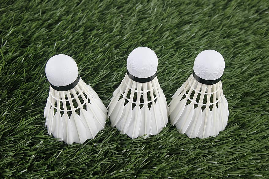 badminton birdie to play the game
