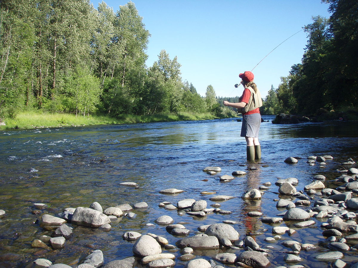 Fly Fishing For beginners- Set-up And Basics of Fly Fishing