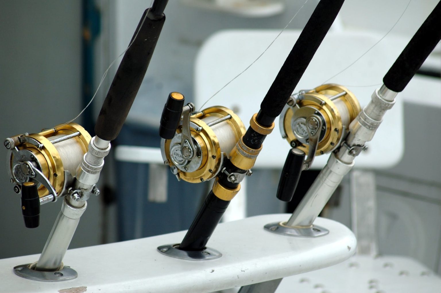 Fishing Gear List- Absolute Beginners Guide For Fishing Equipments