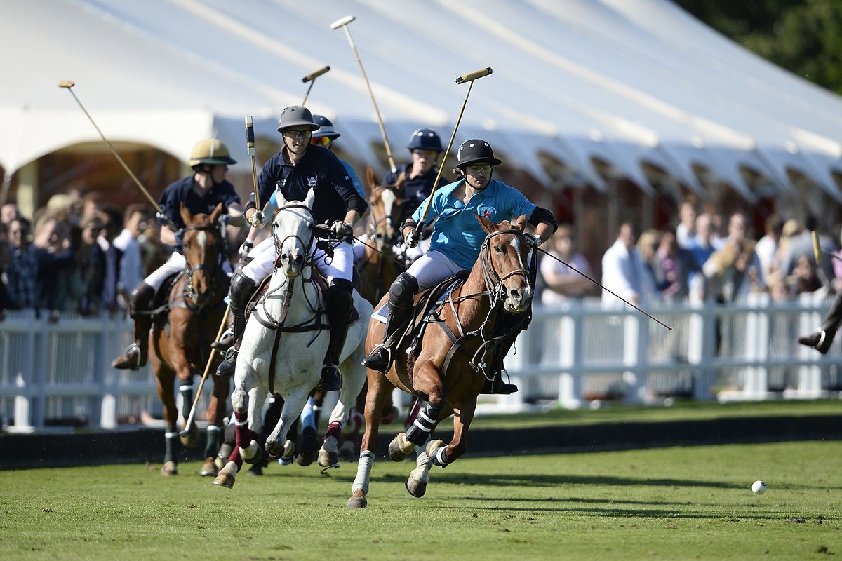 Polo: History, Rules, Penalties And More