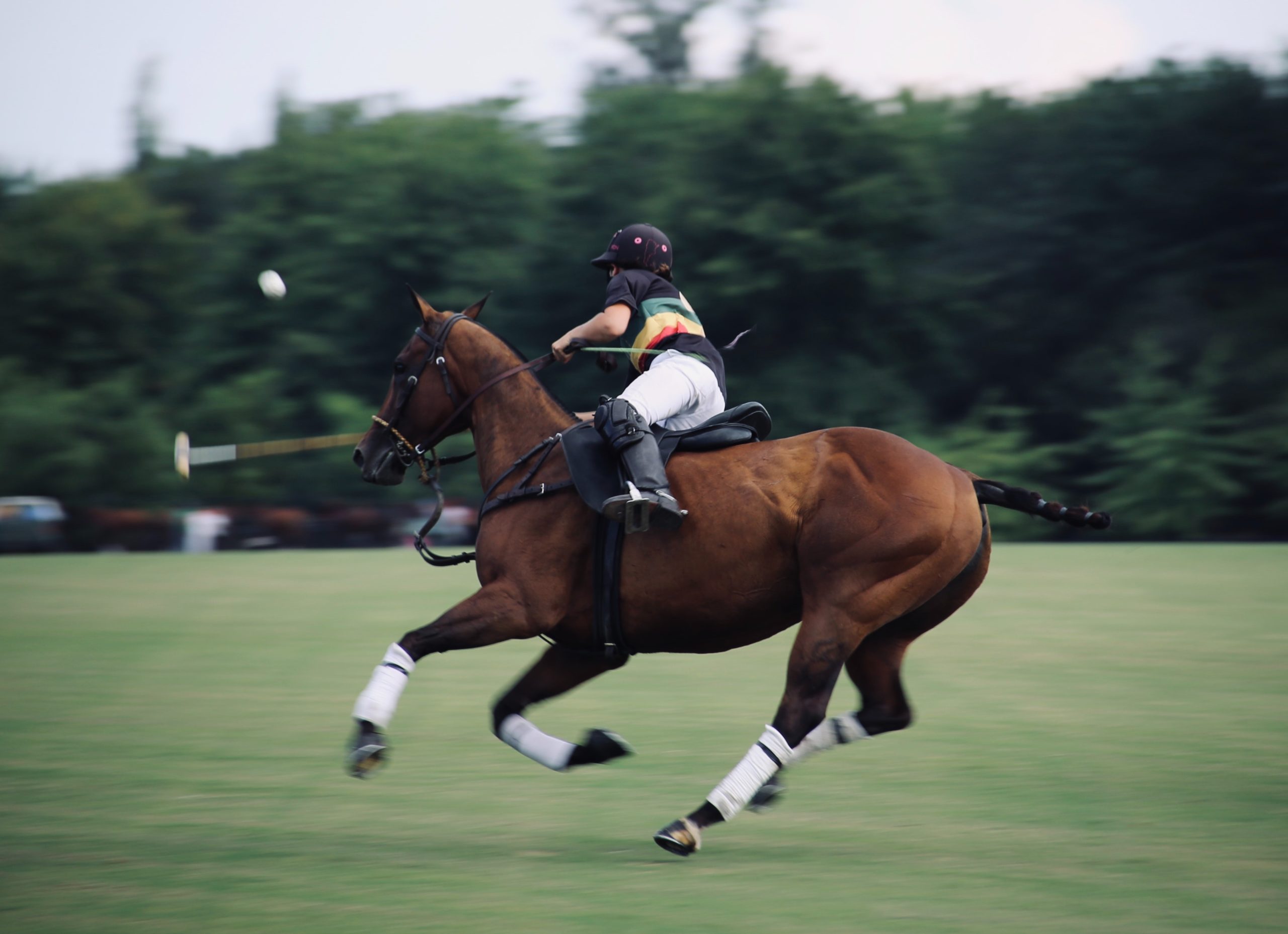 How to Play Polo Efficiently?