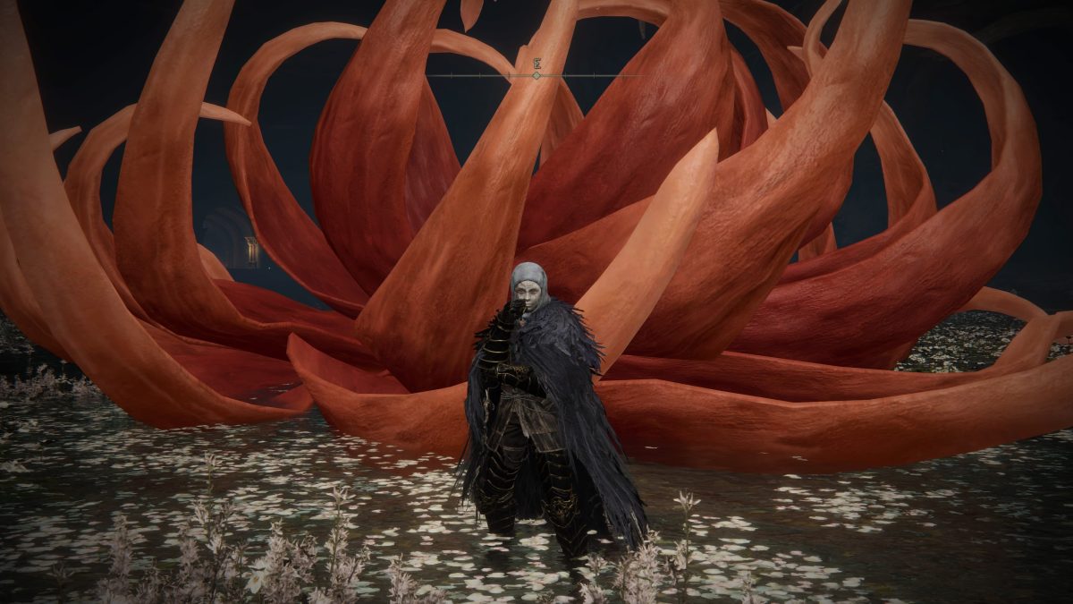 How to Upgrade Ashes in Elden Ring?