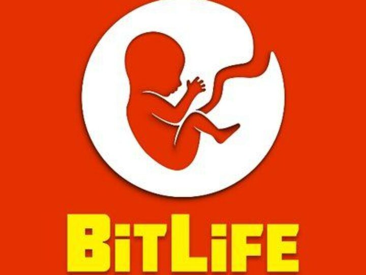 How To Play Bitlife?