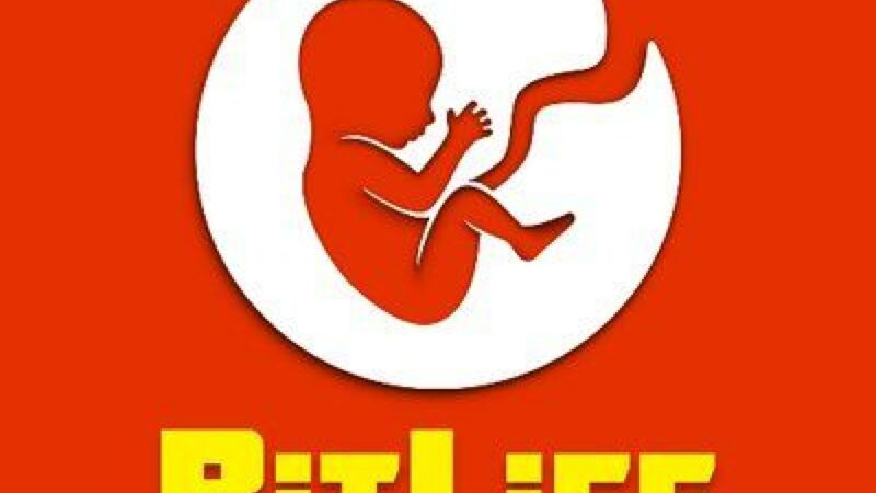 How To Play Bitlife?