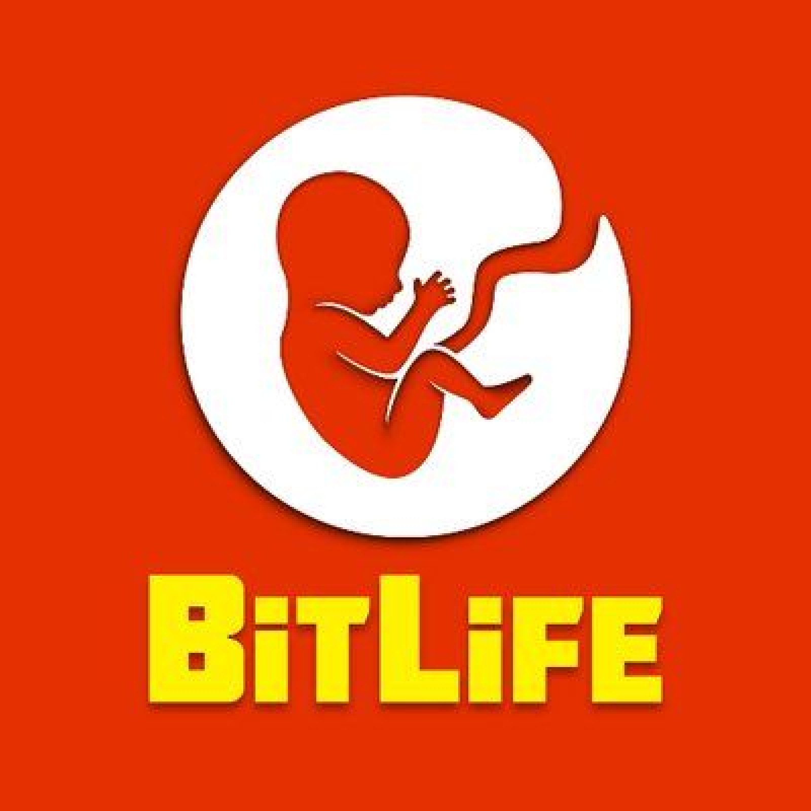How To Play Bitlife?