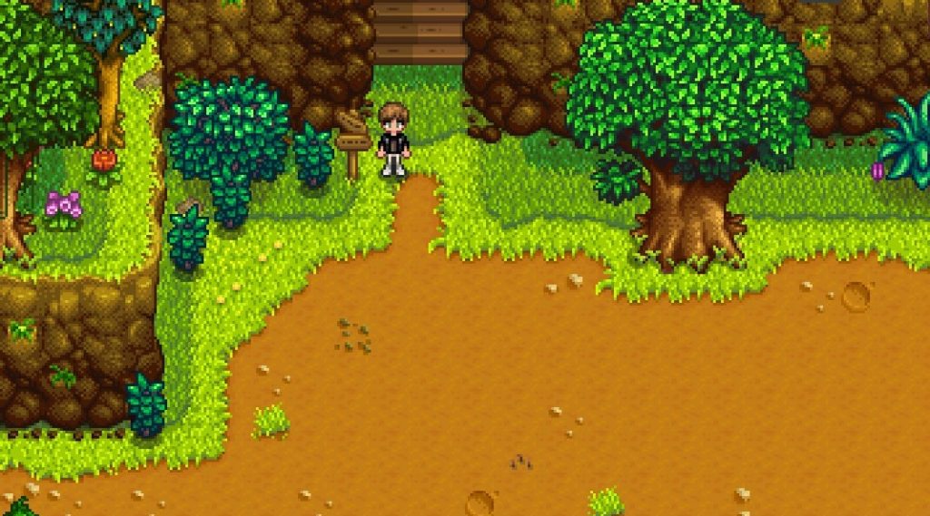 THE EARTHQUAKE IN STARDEW VALLEY [EXPLAINED]: CAUSE & AREAS