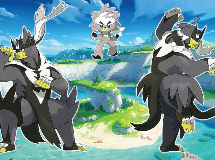 Everything About Kubfu Evolution ?