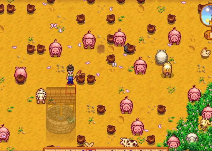 How Can You Get Truffles Stardew Valley?