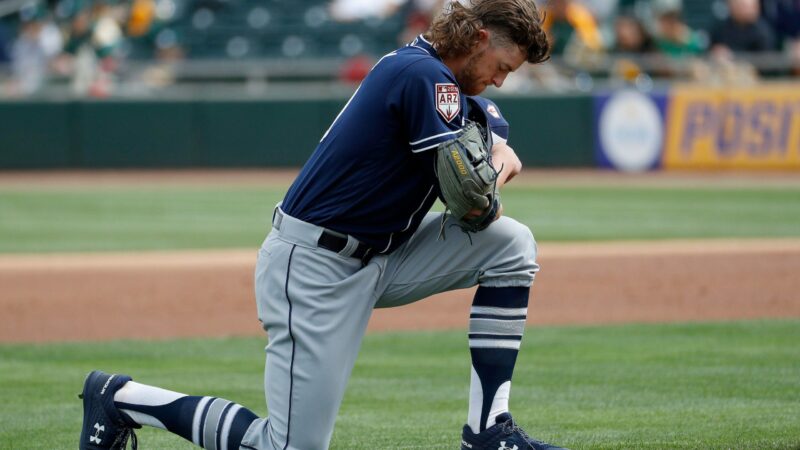 SOME OF THE BEST BASEBALL MULLET