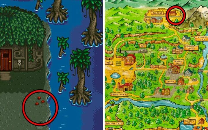 HOW TO CATCH VOID SALMON STARDEW VALLEY