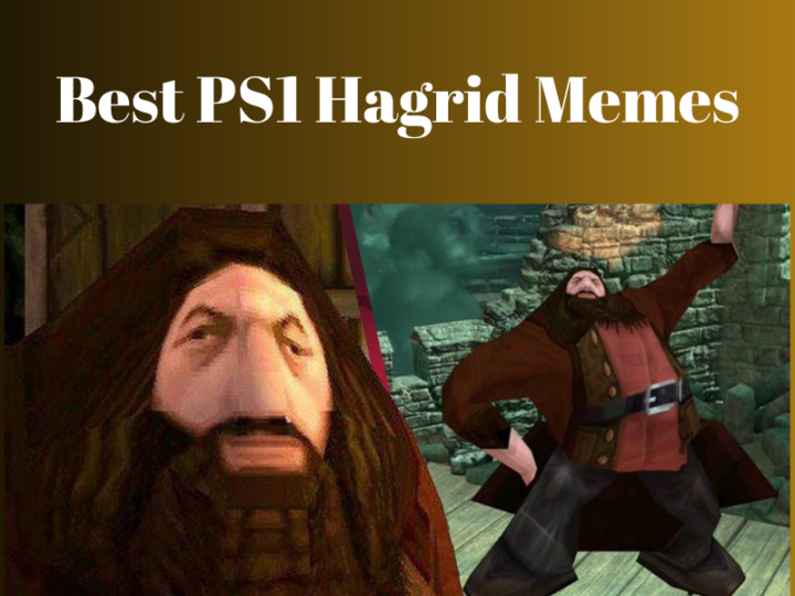 Best PS1 Hagrid Memes