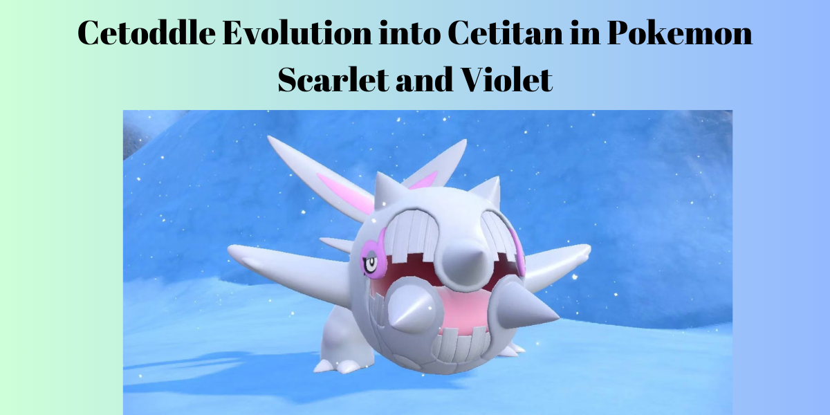 Cetoddle Evolution into Cetitan in Pokemon Scarlet and Violet