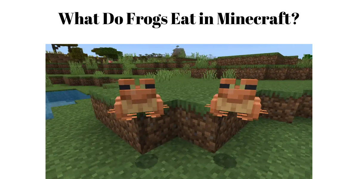 What Do Frogs Eat in Minecraft?