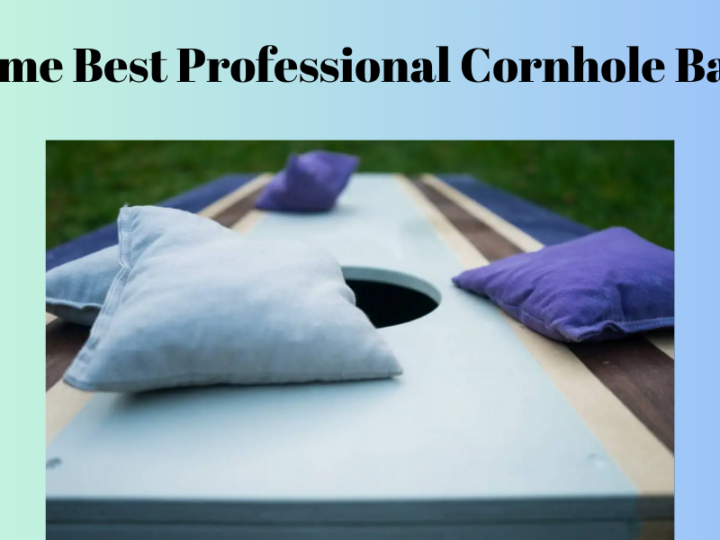 Some Best Professional Cornhole Bags