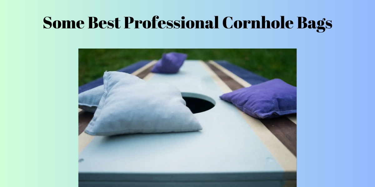 Some Best Professional Cornhole Bags