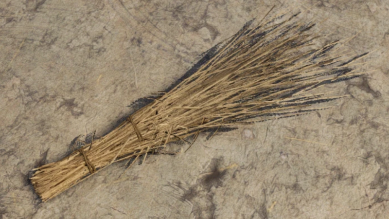 Know all About Medieval Dynasty Straw