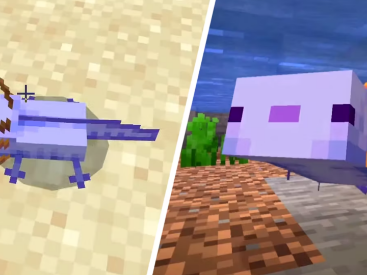 Minecraft: How To Get A Blue Axolotl Minecraft