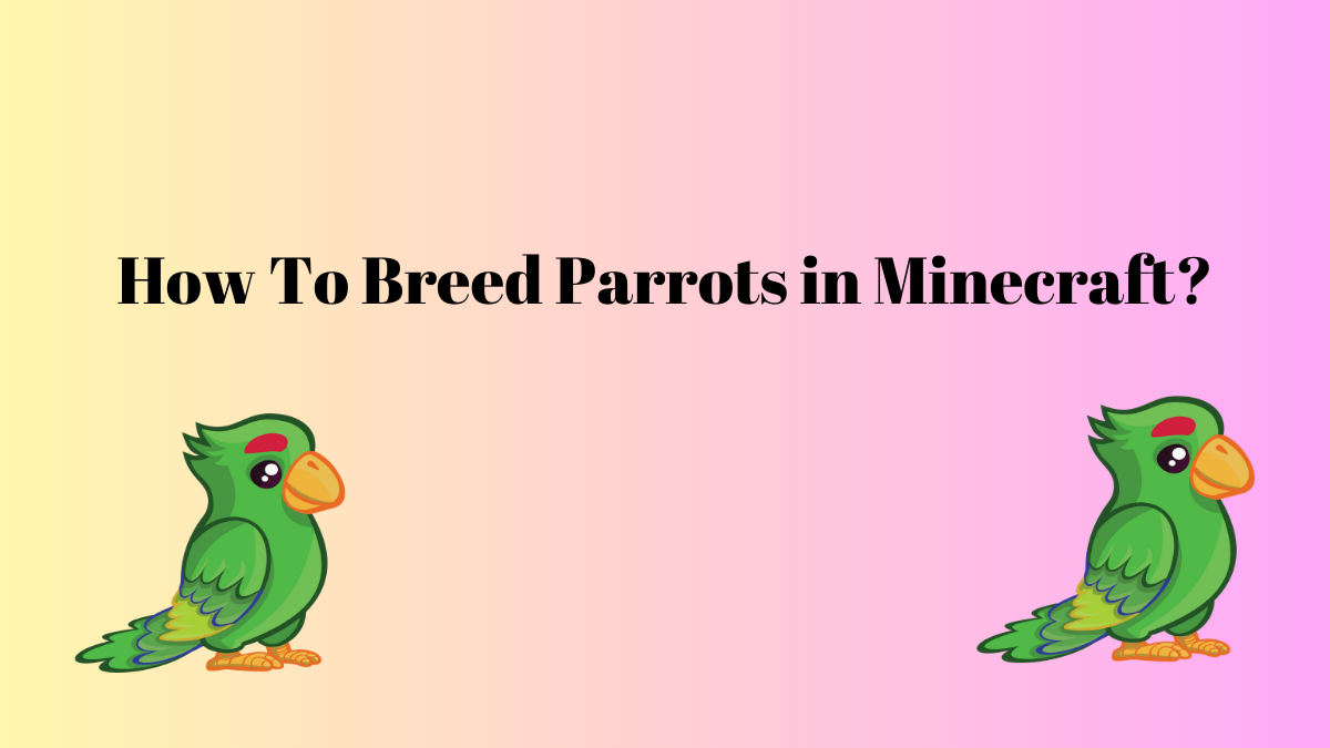 Minecraft: How to breed parrots in minecraft?