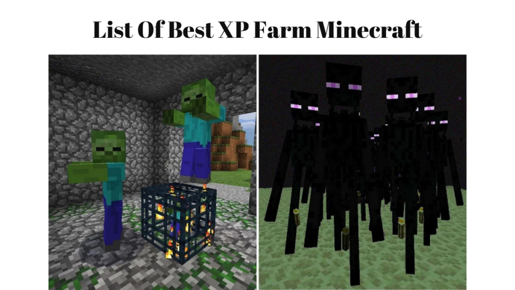 XP Farm Minecraft Games