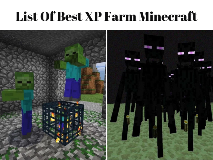 List Of Best XP Farm Minecraft
