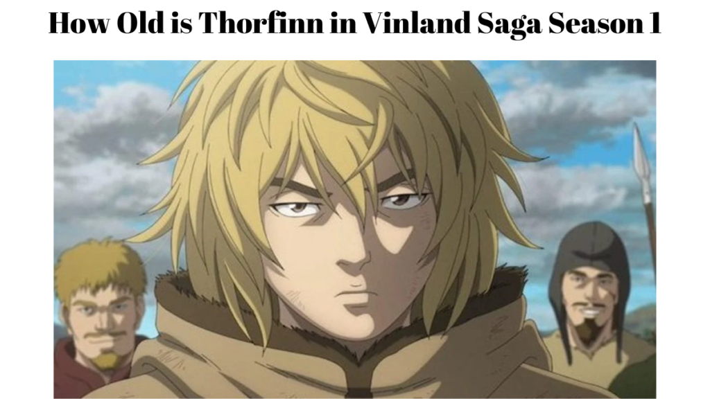How Old is Thorfinn in Vinland Saga Season 1 - How Old Is Thorfinn In Episode 24