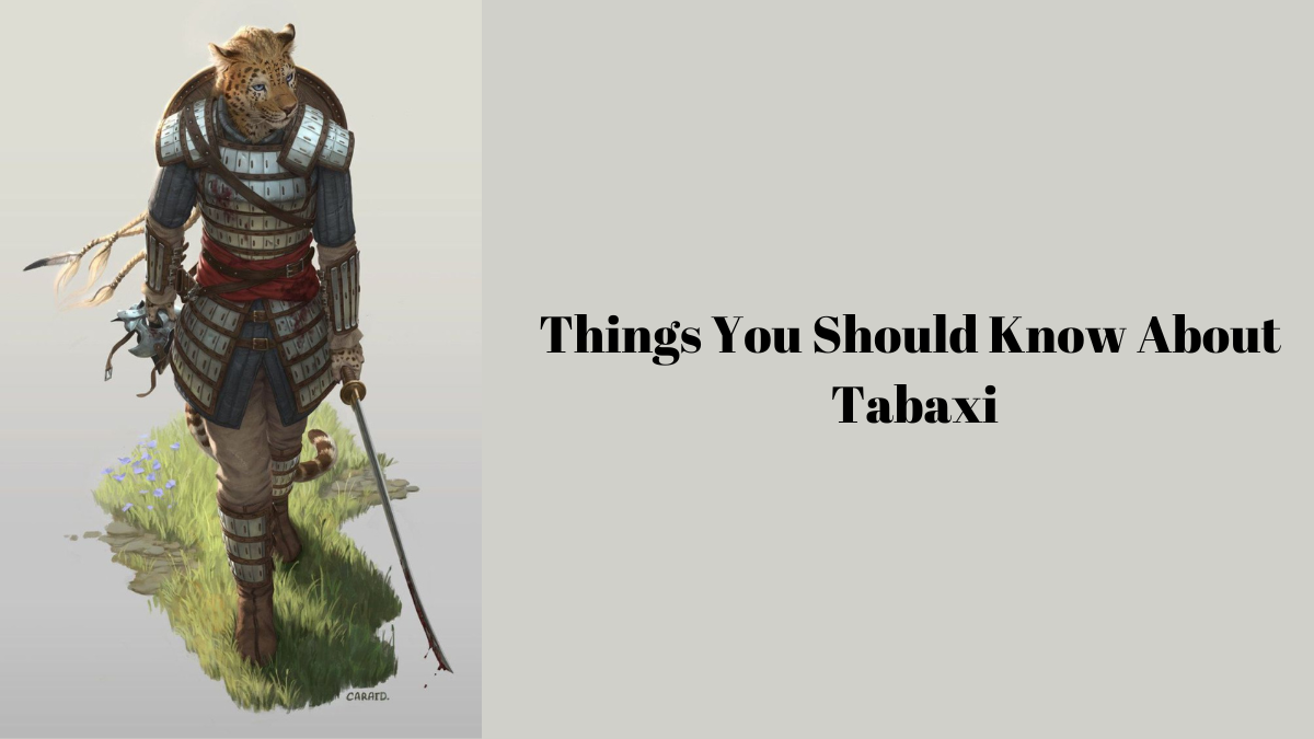 Things You Should Know About Tabaxi