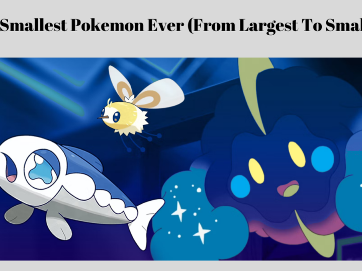 The Smallest Pokemon Ever (From Largest To Smallest)