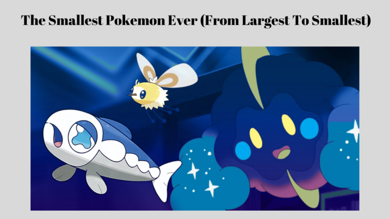 The Smallest Pokemon Ever (From Largest To Smallest)