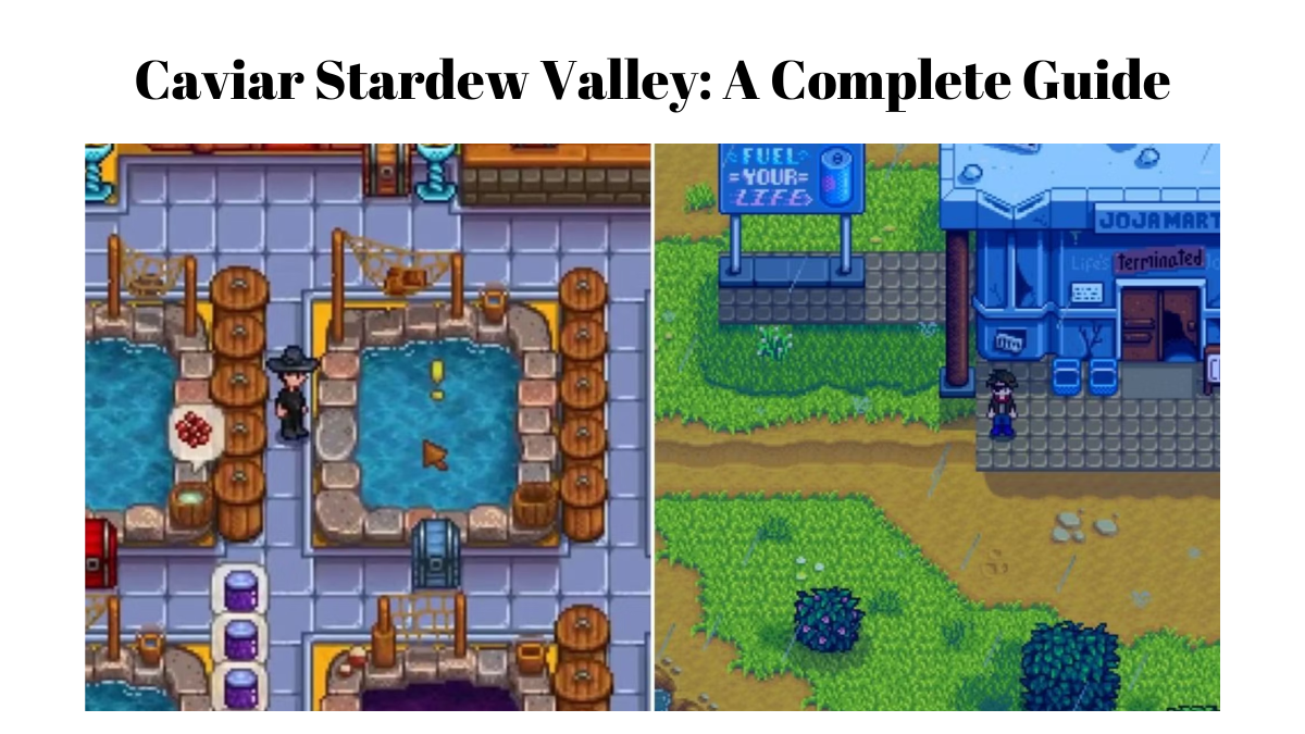 Caviar Stardew Valley: A Complete Guide