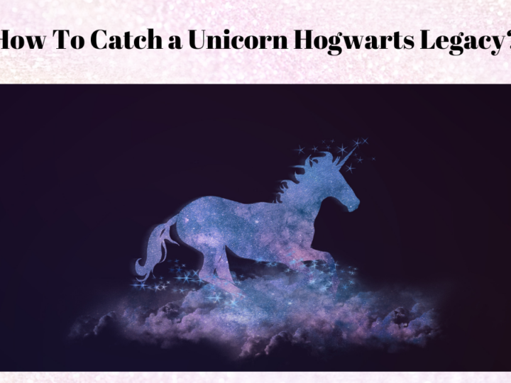How To Catch a Unicorn Hogwarts Legacy?