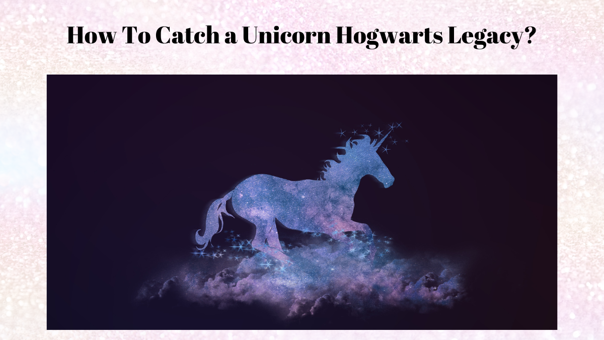 How To Catch a Unicorn Hogwarts Legacy?